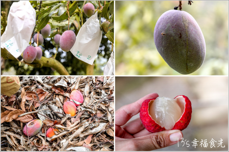 台南玉井一日遊