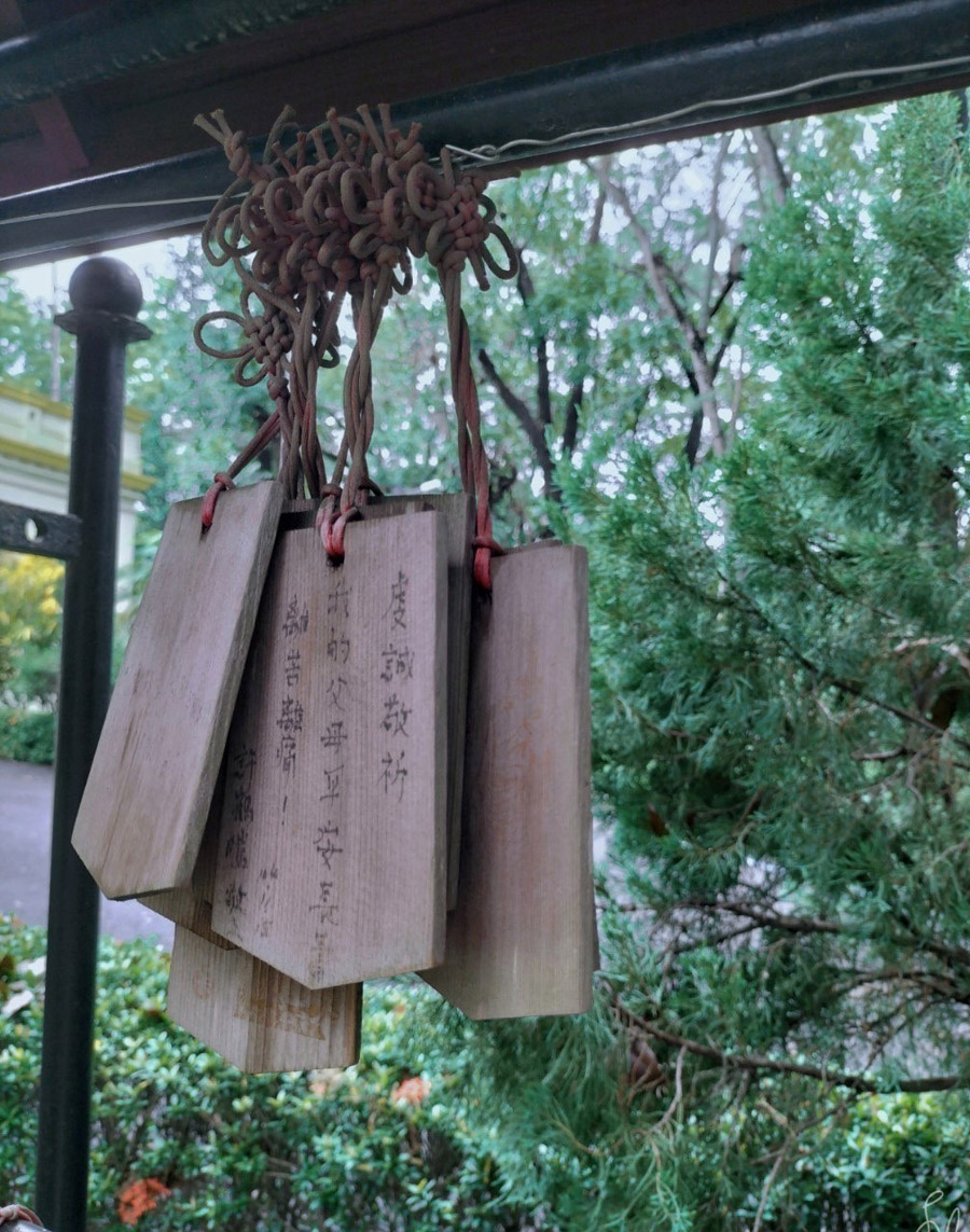 【高雄親子旅遊】抓住夏天的尾巴,甜蜜一夏!高雄橋頭糖廠「2023糖業文創節」8月19-20日展開以糖為主題創意市集|橋見歷史|橋頭糖廠文化走讀|橋頭糖廠五分車|2023高雄暑假活動 - 第8張圖