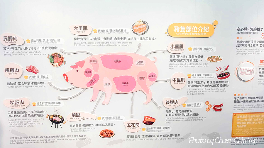 【嘉義親子景點】因愛丸而相聚~這裡貢丸免費試吃!嘉義大林「丸聚星球觀光工廠」可體驗DIY、有遊戲場和沙坑|丸聚星球門票|嘉楠食品觀光工廠|大林觀光工廠|大林景點|嘉義旅遊景點 - 第7張圖