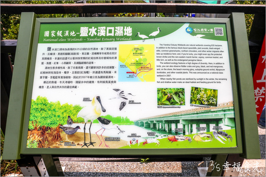 【台南四草一日遊】到四草溼地來旅行~搭乘台江生態遊船漫遊四草溼地|趣味漁夫體驗在媽祖宮九塊庴生態園區抓虱目魚|椰庭景觀餐廳|四草景點|台南旅遊景點 - 第6張圖