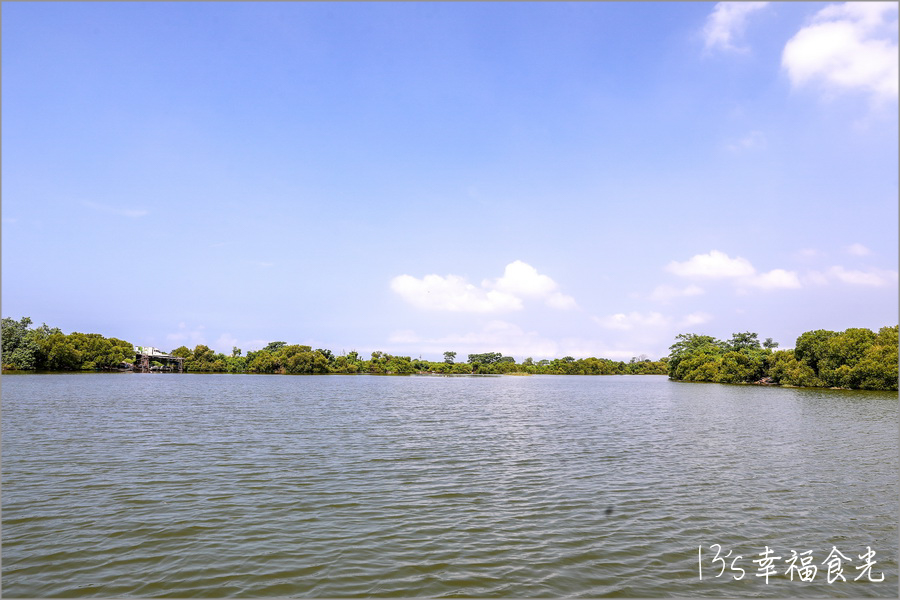【台南四草一日遊】到四草溼地來旅行~搭乘台江生態遊船漫遊四草溼地|趣味漁夫體驗在媽祖宮九塊庴生態園區抓虱目魚|椰庭景觀餐廳|四草景點|台南旅遊景點 - 第12張圖