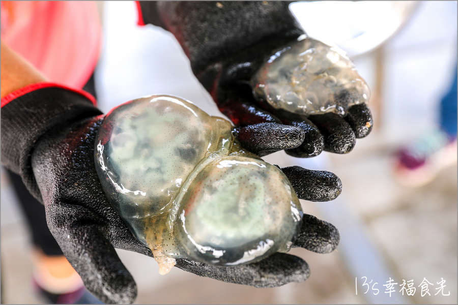 【台南四草一日遊】到四草溼地來旅行~搭乘台江生態遊船漫遊四草溼地|趣味漁夫體驗在媽祖宮九塊庴生態園區抓虱目魚|椰庭景觀餐廳|四草景點|台南旅遊景點 - 第18張圖 台南四草一日遊