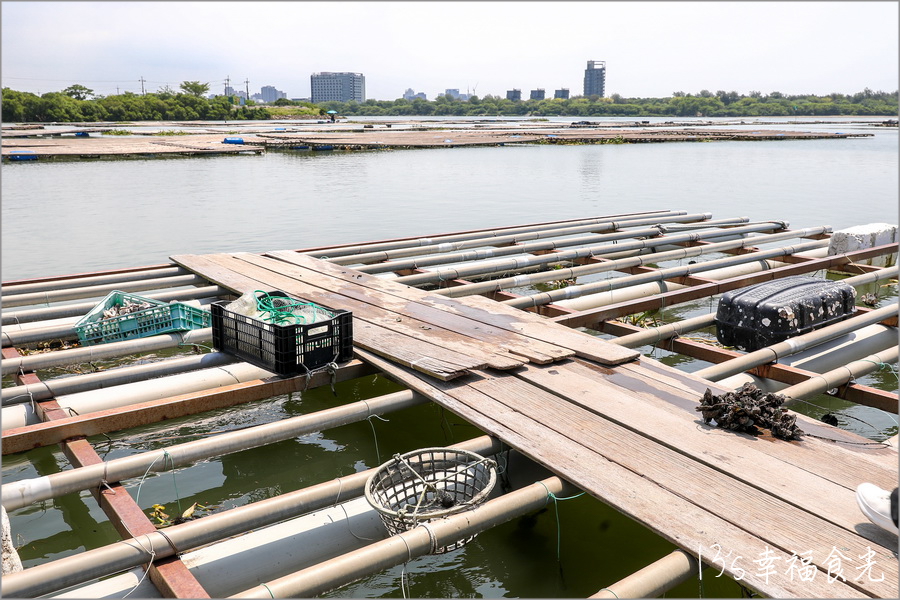 【台南四草一日遊】到四草溼地來旅行~搭乘台江生態遊船漫遊四草溼地|趣味漁夫體驗在媽祖宮九塊庴生態園區抓虱目魚|椰庭景觀餐廳|四草景點|台南旅遊景點 - 第19張圖