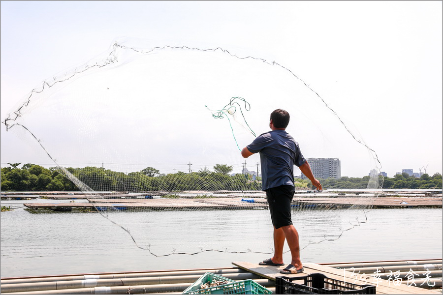 【台南四草一日遊】到四草溼地來旅行~搭乘台江生態遊船漫遊四草溼地|趣味漁夫體驗在媽祖宮九塊庴生態園區抓虱目魚|椰庭景觀餐廳|四草景點|台南旅遊景點 - 第20張圖