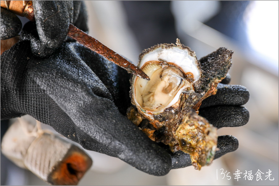 【台南四草一日遊】到四草溼地來旅行~搭乘台江生態遊船漫遊四草溼地|趣味漁夫體驗在媽祖宮九塊庴生態園區抓虱目魚|椰庭景觀餐廳|四草景點|台南旅遊景點 - 第22張圖 台南四草一日遊