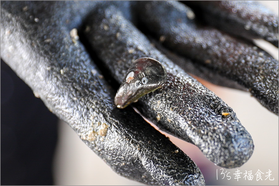【台南四草一日遊】到四草溼地來旅行~搭乘台江生態遊船漫遊四草溼地|趣味漁夫體驗在媽祖宮九塊庴生態園區抓虱目魚|椰庭景觀餐廳|四草景點|台南旅遊景點 - 第23張圖