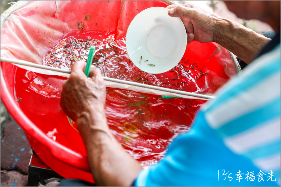 【台南四草一日遊】到四草溼地來旅行~搭乘台江生態遊船漫遊四草溼地|趣味漁夫體驗在媽祖宮九塊庴生態園區抓虱目魚|椰庭景觀餐廳|四草景點|台南旅遊景點 - 第38張圖