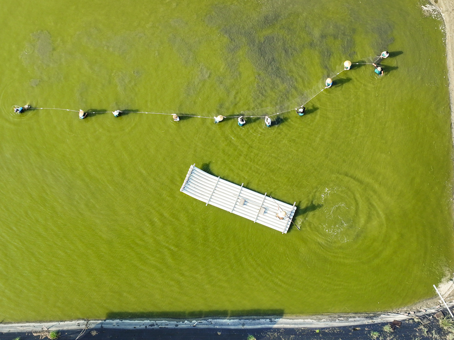 【台南四草一日遊】到四草溼地來旅行~搭乘台江生態遊船漫遊四草溼地|趣味漁夫體驗在媽祖宮九塊庴生態園區抓虱目魚|椰庭景觀餐廳|四草景點|台南旅遊景點 - 第43張圖