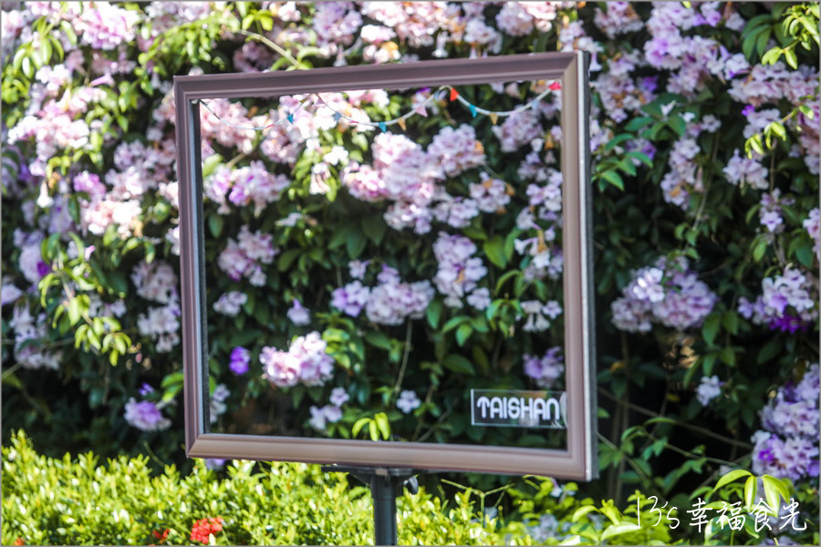 【新北蒜香藤】假日快來拍~蒜香藤瀑布花團超吸睛!新北泰山「楓樹河濱公園蒜香藤花季」現正燦開中|泰山蒜香藤|新北賞花|新北旅遊景點 - 第17張圖 楓樹河濱公園