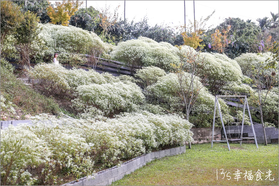 【台中新社一日遊】新社白雪木盛開~普羅旺斯庭園餐廳也有夢幻的聖誕初雪&浪漫落羽松景緻|新社餐廳推薦|新社景點 - 第25張圖 【台中新社一日遊】新社白雪木盛開~普羅旺斯庭園餐廳也有夢幻的聖誕初雪&浪漫落羽松景緻|新社餐廳推薦|新社景點