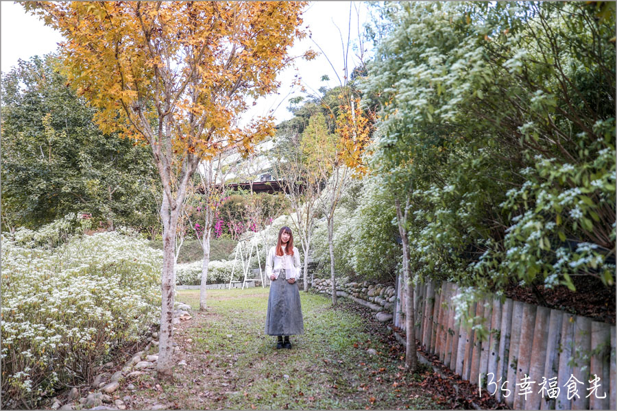 【台中新社一日遊】新社白雪木盛開~普羅旺斯庭園餐廳也有夢幻的聖誕初雪&浪漫落羽松景緻|新社餐廳推薦|新社景點 - 第29張圖 普羅旺斯庭園餐廳白雪木