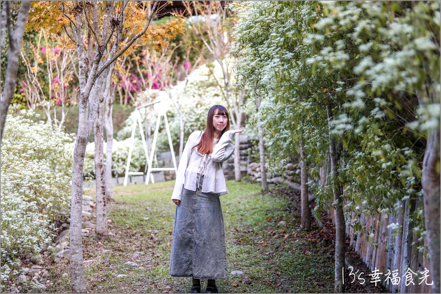 【台中新社一日遊】新社白雪木盛開~普羅旺斯庭園餐廳也有夢幻的聖誕初雪&浪漫落羽松景緻|新社餐廳推薦|新社景點 - 第30張圖 普羅旺斯庭園餐廳白雪木