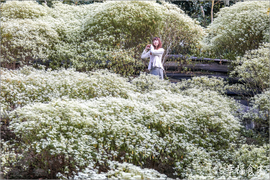普羅旺斯庭園餐廳白雪木