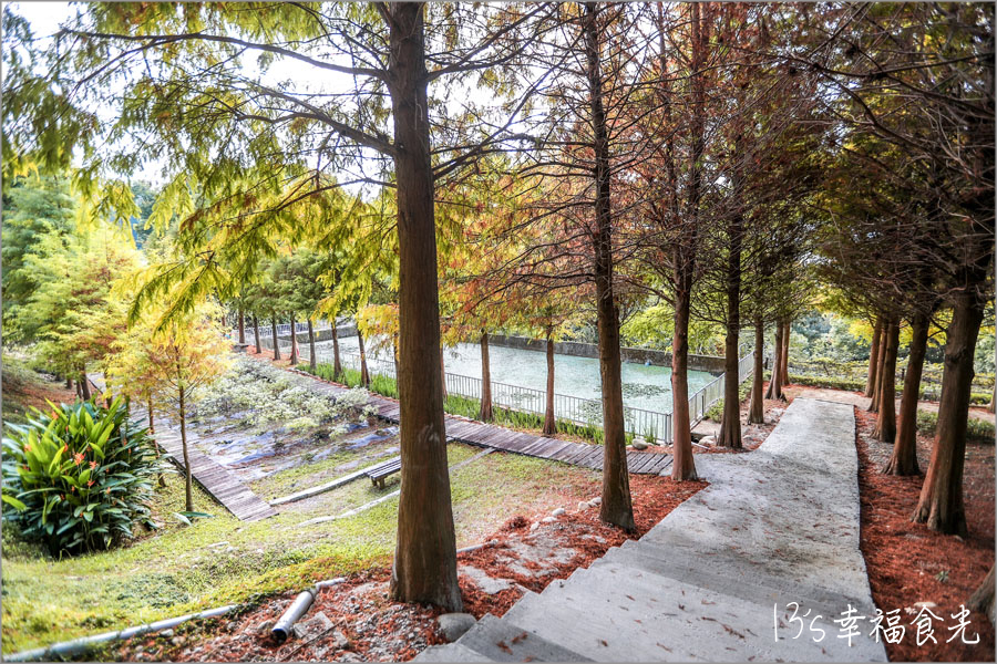 【台中新社一日遊】新社白雪木盛開~普羅旺斯庭園餐廳也有夢幻的聖誕初雪&浪漫落羽松景緻|新社餐廳推薦|新社景點 - 第37張圖 普羅旺斯庭園餐廳落羽松