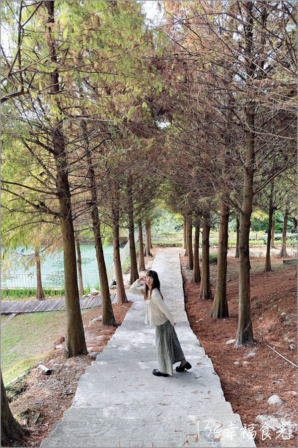 【台中新社一日遊】新社白雪木盛開~普羅旺斯庭園餐廳也有夢幻的聖誕初雪&浪漫落羽松景緻|新社餐廳推薦|新社景點 - 第38張圖 普羅旺斯庭園餐廳落羽松