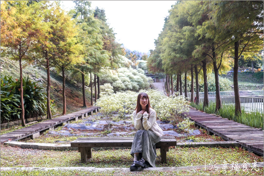 【台中新社一日遊】新社白雪木盛開~普羅旺斯庭園餐廳也有夢幻的聖誕初雪&浪漫落羽松景緻|新社餐廳推薦|新社景點 - 第39張圖 普羅旺斯庭園餐廳落羽松