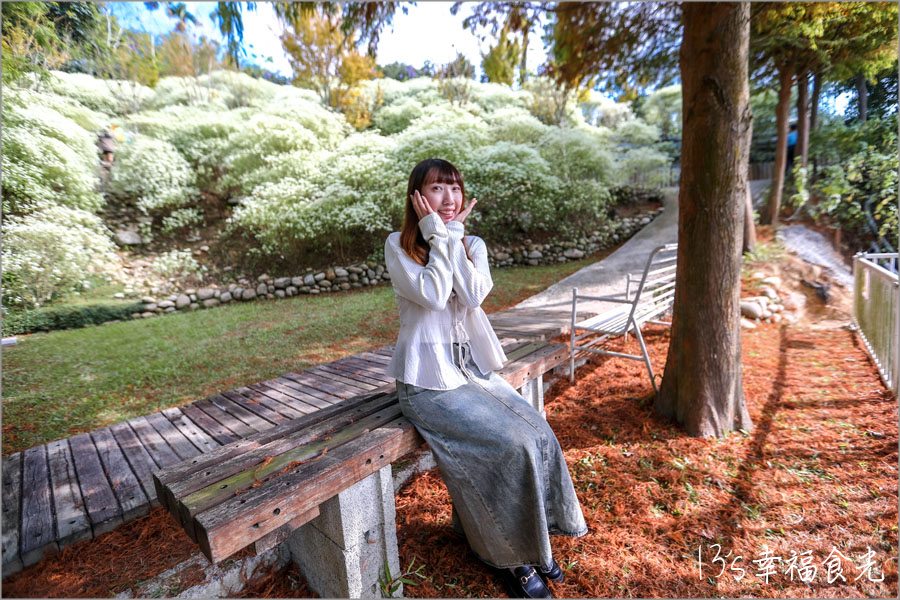 【台中新社一日遊】新社白雪木盛開~普羅旺斯庭園餐廳也有夢幻的聖誕初雪&浪漫落羽松景緻|新社餐廳推薦|新社景點 - 第41張圖 【台中新社一日遊】新社白雪木盛開~普羅旺斯庭園餐廳也有夢幻的聖誕初雪&浪漫落羽松景緻|新社餐廳推薦|新社景點