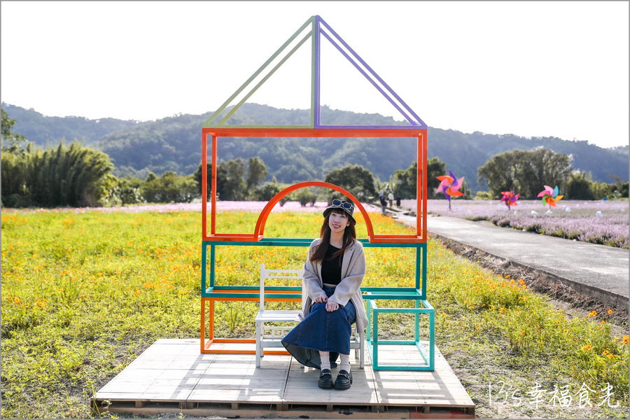 新竹關西仙草花海節