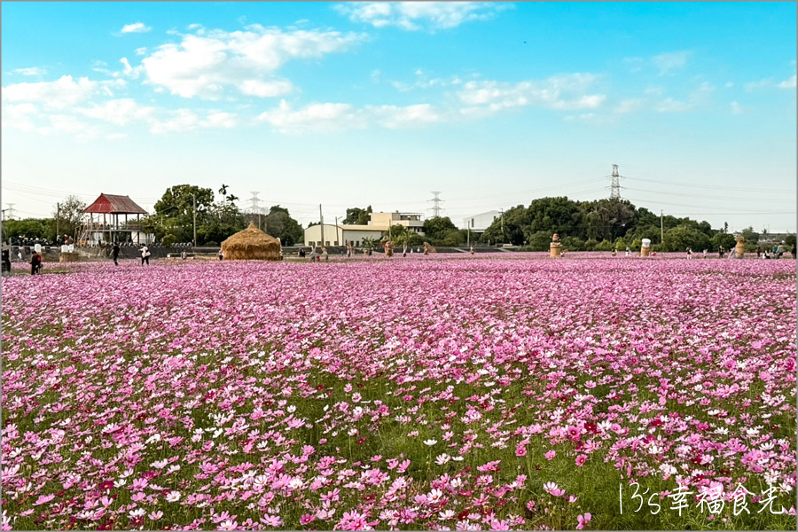 田中稻草藝術裝置展