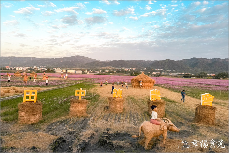 【秋收冬藏稻草藝術節】田中頂潭里望高瞭～繽紛花田x稻草藝術裝置展｜田中花海一日遊