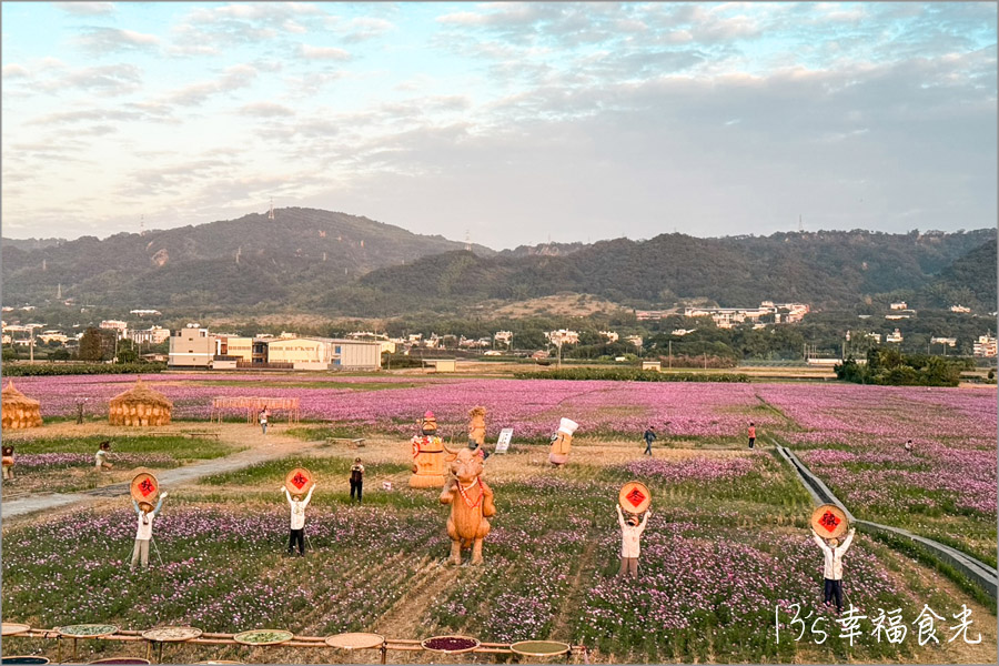 【秋收冬藏稻草藝術節】田中頂潭里望高瞭～繽紛花田x稻草藝術裝置展｜田中花海一日遊