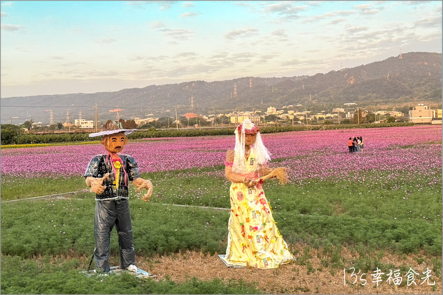 田中稻草藝術裝置展