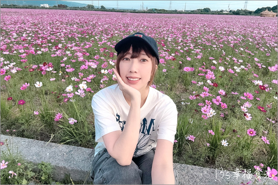 田中稻草藝術裝置展