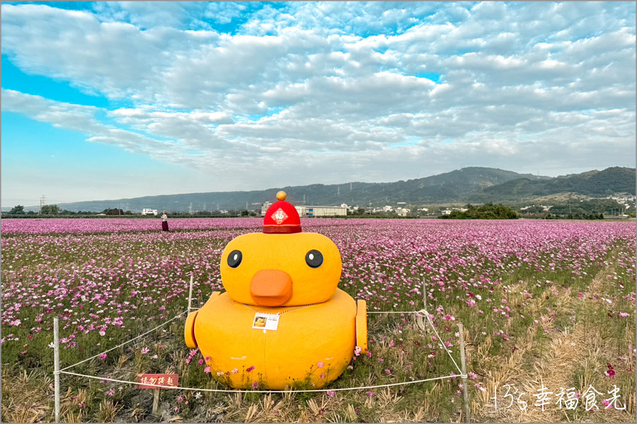 【秋收冬藏稻草藝術節】田中頂潭里望高瞭～繽紛花田x稻草藝術裝置展｜田中花海一日遊