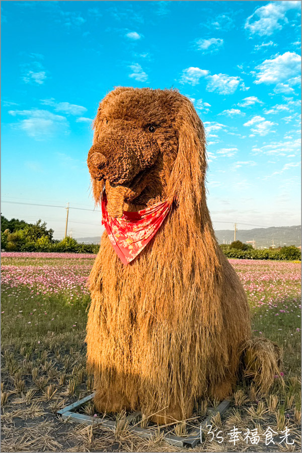 田中稻草藝術裝置展