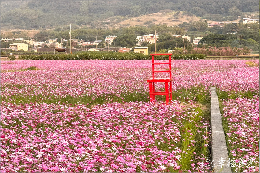 【秋收冬藏稻草藝術節】田中頂潭里望高瞭～繽紛花田x稻草藝術裝置展｜田中花海一日遊