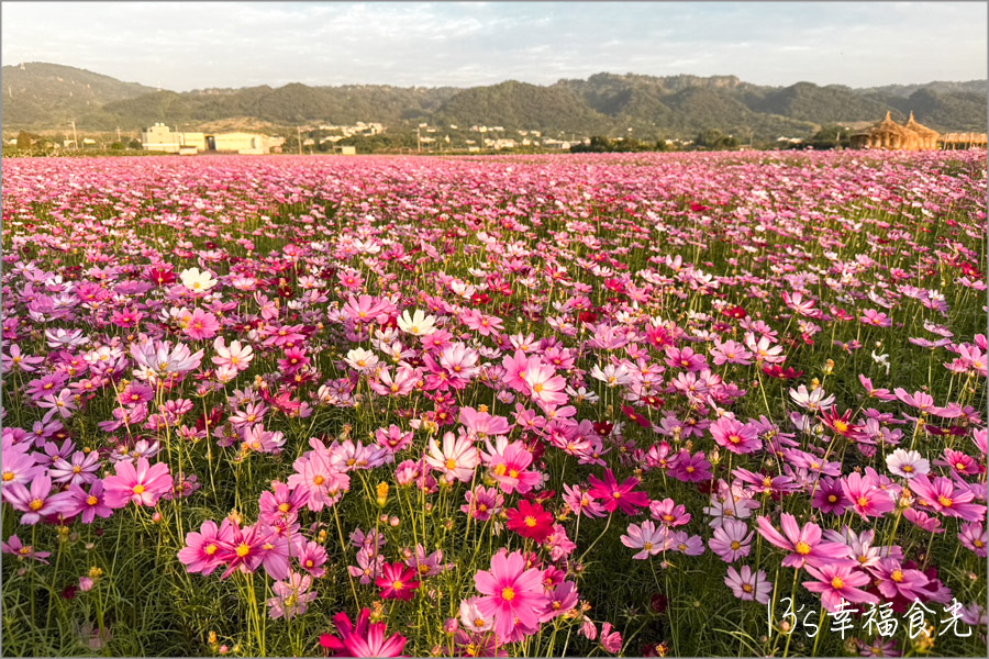 田中稻草藝術裝置展