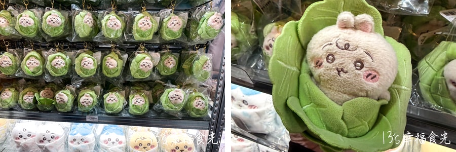 台北華山吉伊卡哇