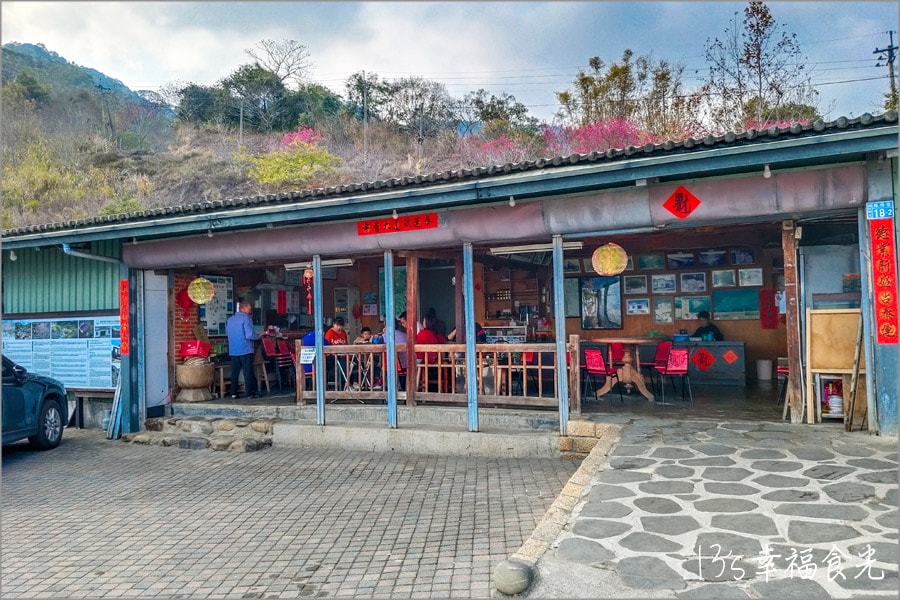 【九份二山櫻花】九份二山國家地震紀念地賞櫻趣｜九份二山傾斜屋｜九份二山921震爆點｜九份二山賞櫻｜南投櫻花景點