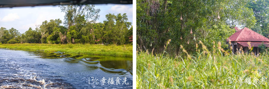 【馬來西亞景點】熱帶雨林主題SplashMania水上樂園~白天化身探險隊體驗Paya Indah Wetlands濕地生態,夜晚嗨翻馬來西亞第一個夜間水上音樂節 - 第20張圖 【馬來西亞景點】熱帶雨林主題SplashMania水上樂園~白天化身探險隊體驗Paya Indah Wetlands濕地生態,夜晚嗨翻馬來西亞第一個夜間水上音樂節