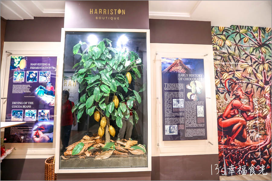 吉隆坡Harriston Boutique哈里斯頓巧克力精品店