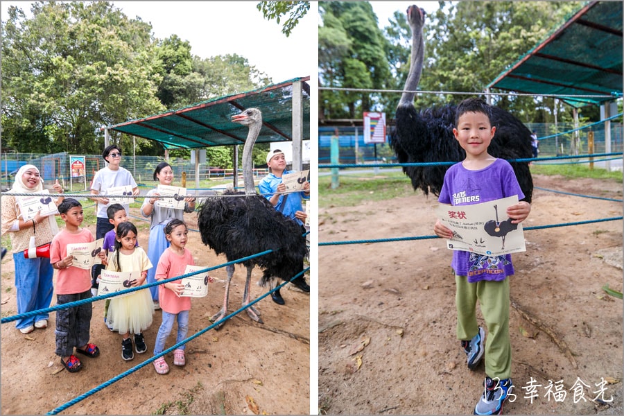 【森美蘭景點】親子最愛的互動休閒農場「P.D. Ostrich Show Farm 波德申鴕鳥園」還可以跟鴕鳥比賽跑真有趣 - 第6張圖 波德申鴕鳥園