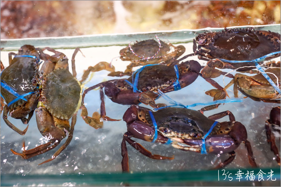【柔佛美食餐廳推薦】馬來西亞最南海鮮餐廳~柔佛州邊佳蘭四灣島「翡翠園海鮮酒家」吃爆野生龍蝦 - 第8張圖 柔佛餐廳翡翠園海鮮海家