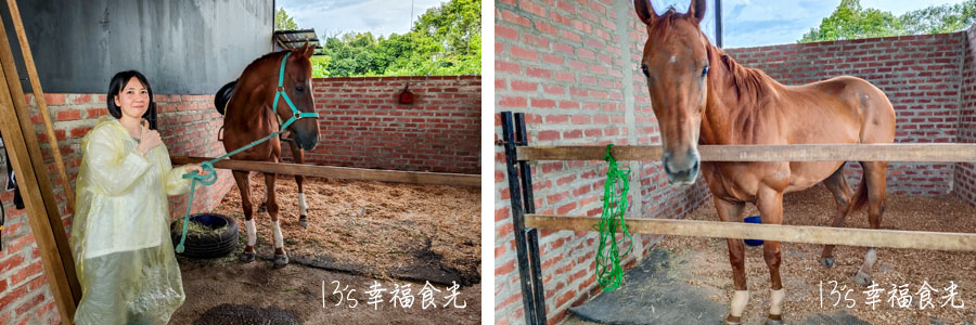 【柔佛一日遊景點】可享用水果大餐與可愛動物互動「迪沙魯水果園」還能安排水果農場參觀、越野沙灘車與騎馬體驗｜迪沙魯果園門票
