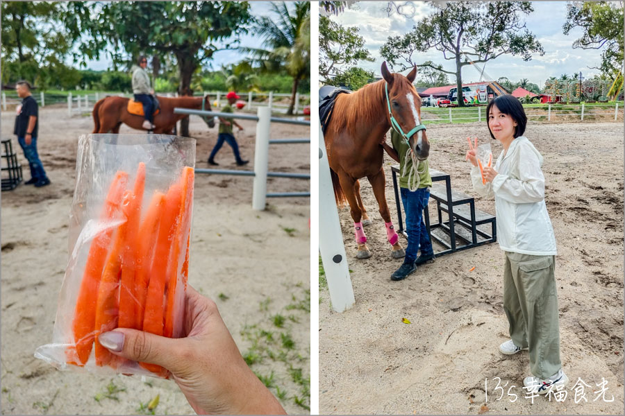 【柔佛一日遊景點】可享用水果大餐與可愛動物互動「迪沙魯水果園」還能安排水果農場參觀、越野沙灘車與騎馬體驗｜迪沙魯果園門票