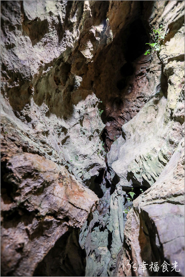 稻積水中鍾乳洞九州大分景點