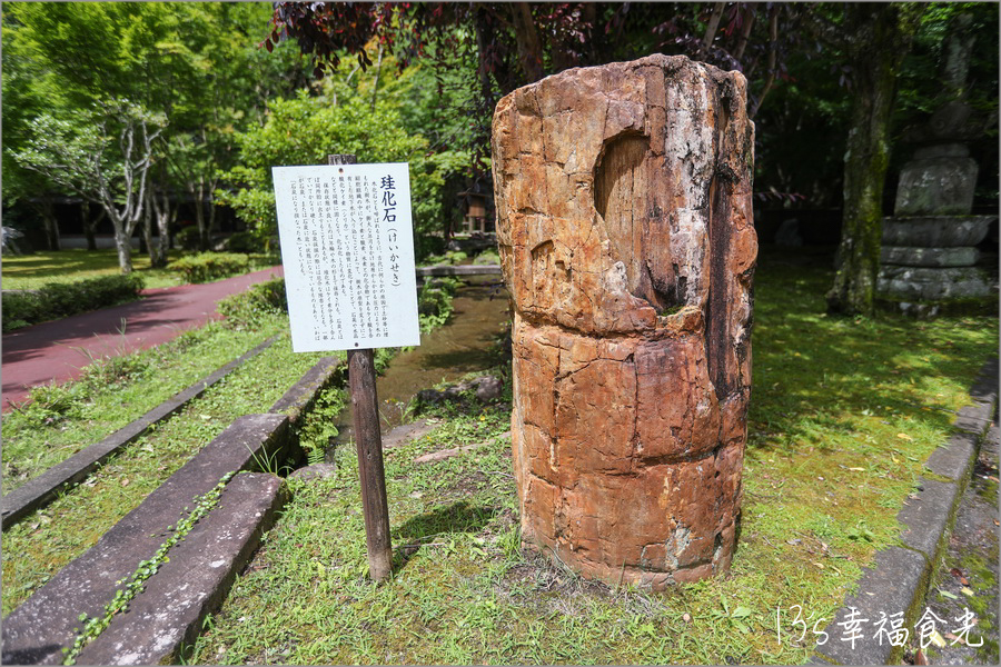 【大分景點】探訪三億年史跡之日本最大水中洞《稻積水中鍾乳洞》能玩水還有三溫暖體驗｜道之驛清川幻之桃｜大分行程｜九州大分自由行