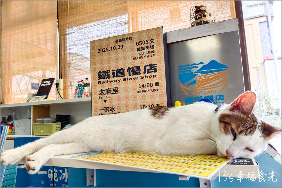 【台東旅遊】太麻里兩天一夜行程～必拍超人氣太麻里招財貓土地公廟｜太麻里咖啡廳｜太麻里美食餐廳｜太麻里冰店｜太麻里商圈