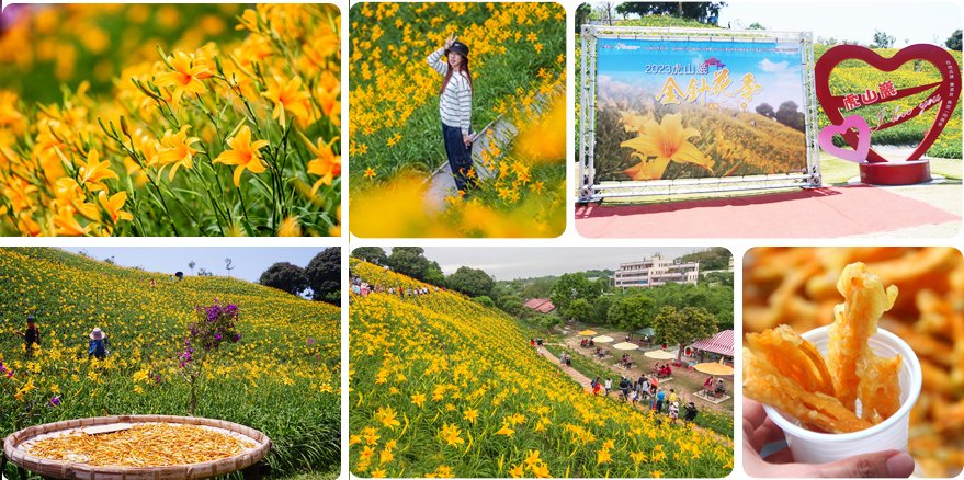 彰化景點,花壇景點,彰化賞花,花壇,虎山岩金針花,彰化花壇金針花海,虎山巖,花壇虎山巖金針花,花壇金針花,彰化金針花2023,彰化金針花,虎山岩金針花2023,彰化一日遊,虎山巖金針花季2023,彰化旅遊,彰化旅遊景點,金針花,彰化縣市,彰化虎山巖,彰化,彰化金針花景點 @13's幸福食光